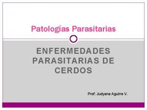 Patologas Parasitarias ENFERMEDADES PARASITARIAS DE CERDOS Prof Judyana