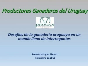Productores Ganaderos del Uruguay Desafos de la ganadera