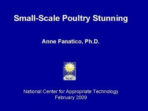 SmallScale Poultry Stunning Anne Fanatico Ph D National