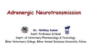 Adrenergic Neurotransmission Dr Nirbhay Kumar Asstt Professor Head