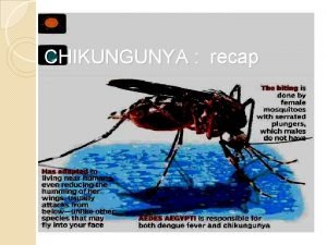 CHIKUNGUNYA recap EPIDEMIOLOGY Epidemics of fever rash and