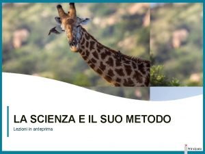 Sistema internazionale di misura