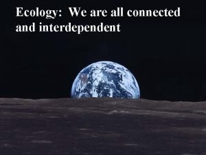 Connected and interdependent