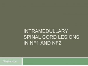 INTRAMEDULLARY SPINAL CORD LESIONS IN NF 1 AND