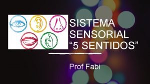 SISTEMA SENSORIAL 5 SENTIDOS Prof Fabi SISTEMA SENSORIAL