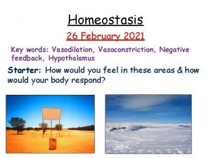 Vasoconstriction vs vasodilation