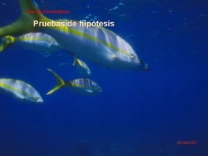 Curso de Bioestadstica Pruebas de hiptesis MGADEO Curso