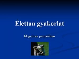 lettan gyakorlat Idegizom prepartum Vzizomzat Testtmeg 40 50