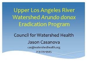 Upper Los Angeles River Watershed Arundo donax Eradication