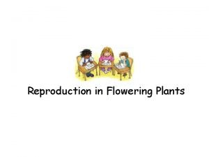Reproduction in Flowering Plants The Parts of a