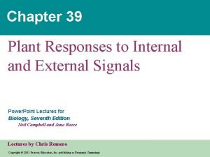 Chapter 39 plant responses to internal and external signals