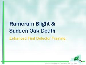 Ramorum Blight Sudden Oak Death Enhanced First Detector
