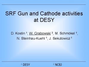 SRF Gun and Cathode activities at DESY D