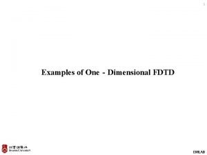 1 Examples of OneDimensional FDTD EMLAB Typical FDTD