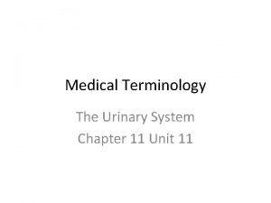 Urethr/o medical term