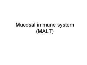 Mucosal immune system MALT MALT Mucous Associated Lymphoid