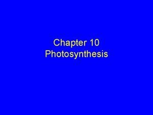 Chapter 10 Photosynthesis Photosynthesis Chloroplasts Light Reactions Calvin