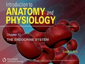 Chapter 12 THE ENDOCRINE SYSTEM 2012 Delmar Cengage