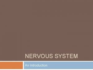 Nervous system notes