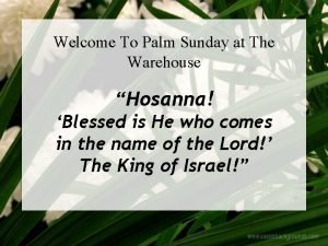 Welcome To Palm Sunday at The Warehouse Hosanna