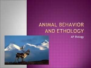 AP Biology Ethology is the study of animal