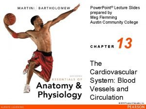 Overview of the major systemic arteries