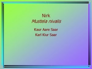 Nirk Mustela nivalis Kaur Aare Saar Karl Kiur