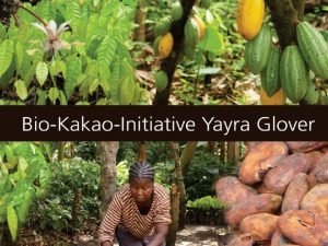 Afrika braucht Chancen nicht Almosen Yayra sucht ein