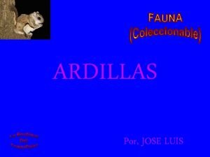 ARDILLAS Por JOSE LUIS ARDILLAS COREANAS Se trata