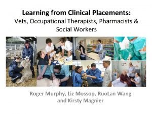 Learning from Clinical Placements Vets Occupational Therapists Pharmacists