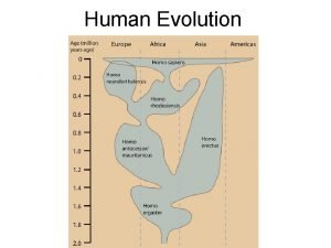 Human Evolution Classification of Humans classification shared characteristics