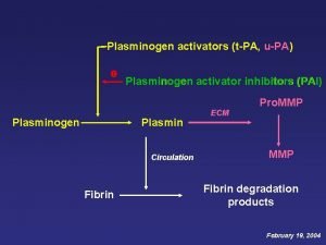 Plasminogen activators tPA uPA Plasminogen activator inhibitors PAI