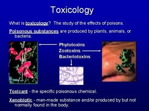 What is toxicology?