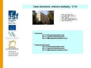 stav biochemie chemie a biofyziky 2110 MVDr Ji