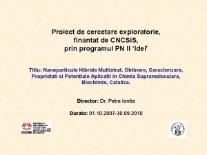 Proiect de cercetare exploratorie finantat de CNCSIS prin