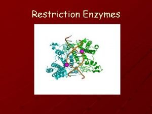 Restriction Enzymes WHAT ARE RESTRICTION ENZYMES Restriction Enzymes
