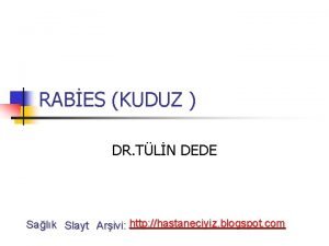 RABES KUDUZ DR TLN DEDE Salk Slayt Arivi