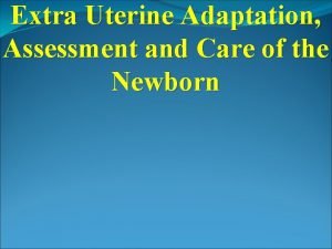 Newborn assessment nursing