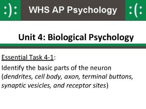 WHS AP Psychology Unit 4 Biological Psychology Essential