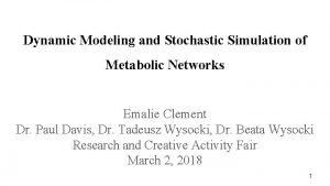 Dynamic Modeling and Stochastic Simulation of Metabolic Networks