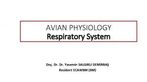 AVIAN PHYSIOLOGY Respiratory System Do Dr Yasemin SALGIRLI