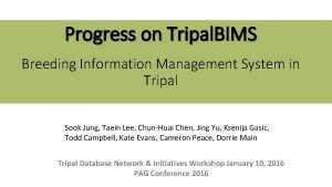 Progress on Tripal BIMS Breeding Information Management System