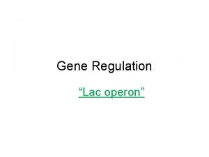 Lac operon positive or negative control