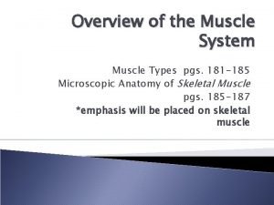 Comparison of skeletal cardiac and smooth muscle
