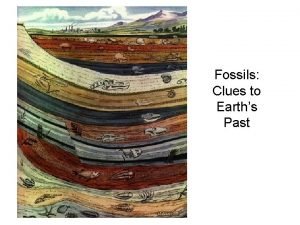 Fossils Clues to Earths Past What is a