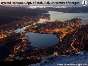 yvind Halskau Dept of Mol Biol University of