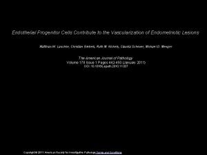 Endothelial Progenitor Cells Contribute to the Vascularization of