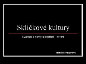 Sklkov kultury Cytologie a morfologie bakteri cvien Michaela