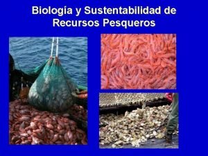 Biologa y Sustentabilidad de Recursos Pesqueros El excesivo