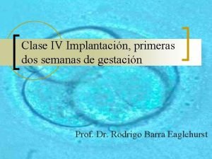 Clase IV Implantacin primeras dos semanas de gestacin